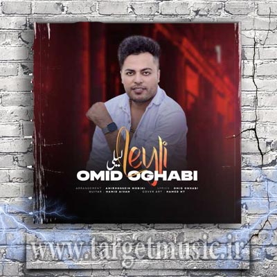 Omid-Oghabi-Leily-4.jpg