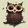 اميــــــــــد