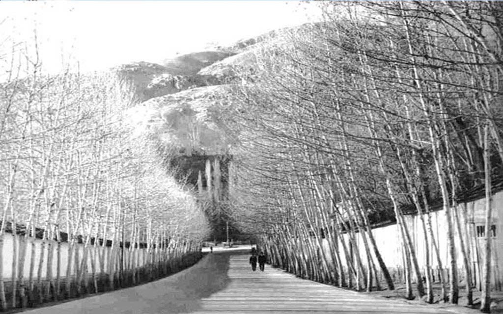69-خیابان دربند.JPG