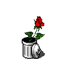 91.gif