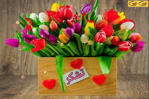 عکس متحرک تشکر زیبا.gif