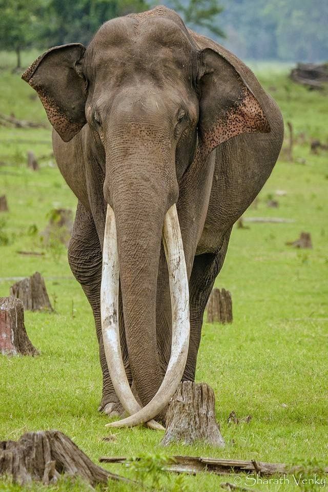 IMG_20220806_234909_008.jpg