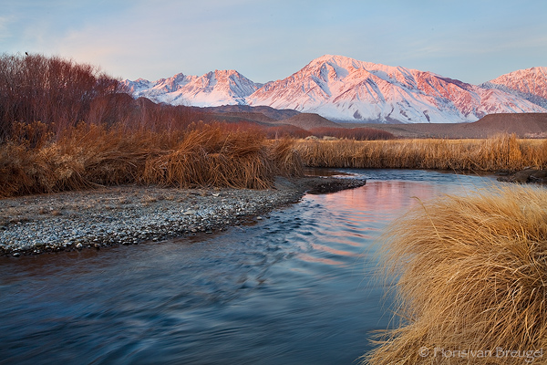 owens-river-sunrise-20100213_0800.jpg