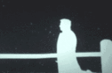 27077181.gif