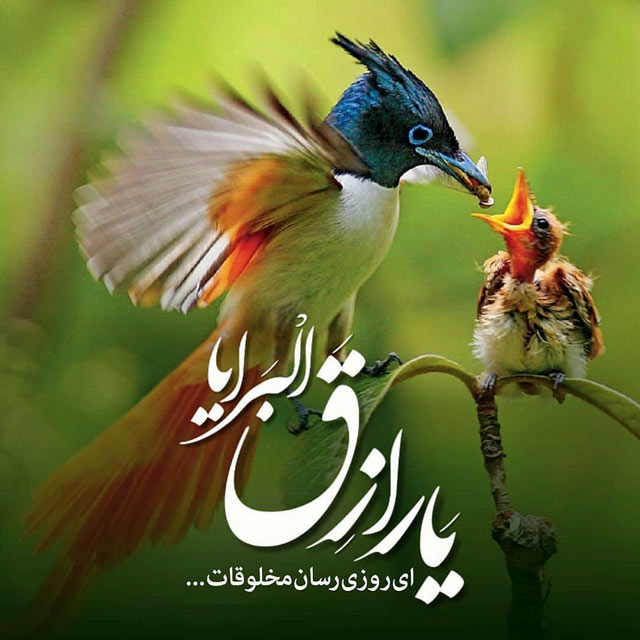 quran-graphy-photokade-com-8.jpg