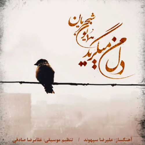 Homayoun-Shajarian-Dele-Man-Migeryad.jpg