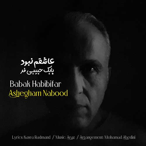 Babak-Habibifar-Ashegham-Nabood.jpg