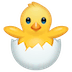 hatching-chick-whatsapp.png