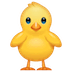 front-facing-baby-chick-whatsapp.png